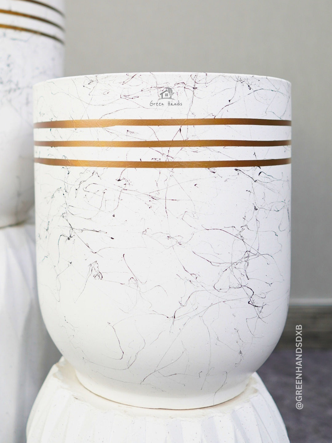 Kids and Pets Friendly Large Cast Iron Plant in Premium Ceramic Pot Green Hands