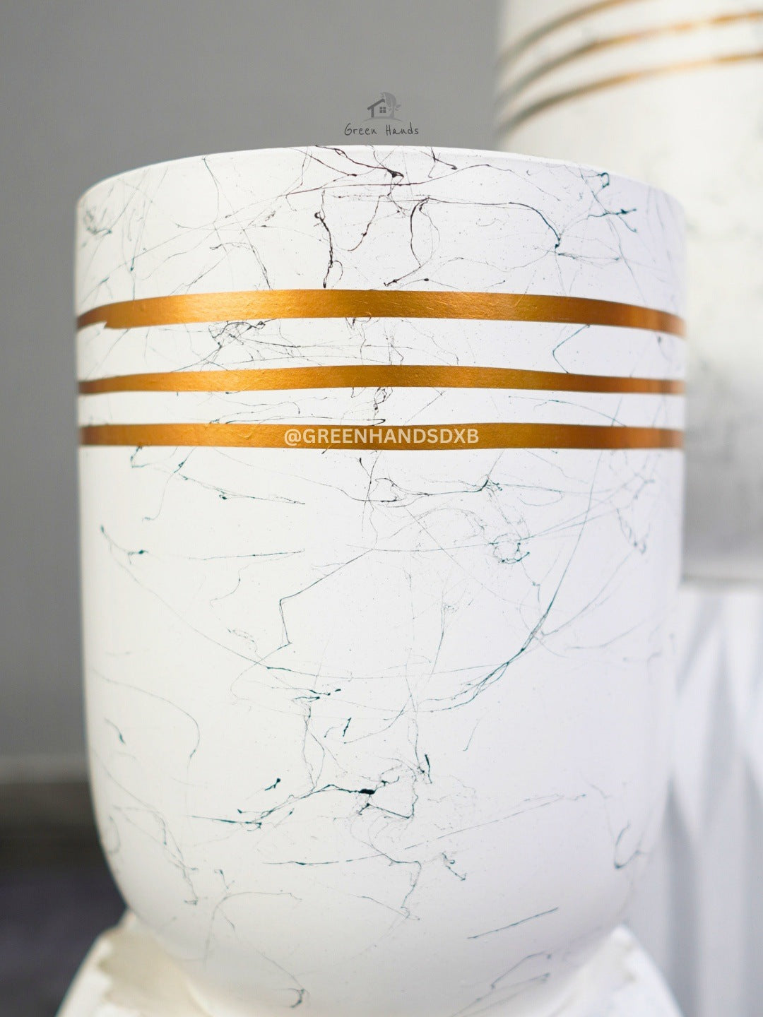 Potted Fiddle Leaf Fig - Transform Your Space with a Touch of Forest Green Green Hands