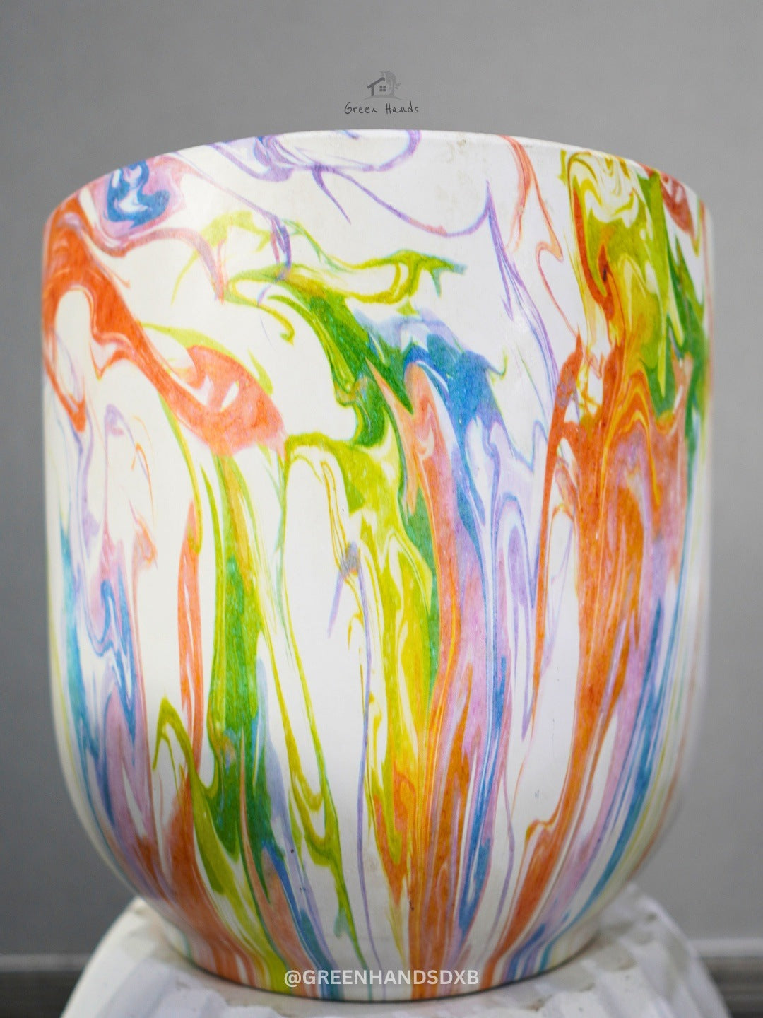 Kids and Pets Friendly Large Cast Iron Plant in Premium Ceramic Pot Green Hands