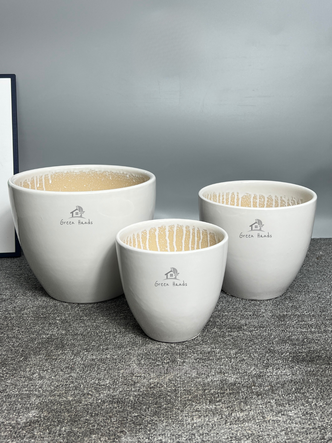 Peace Lily & Bonsai Bundle - Image 2