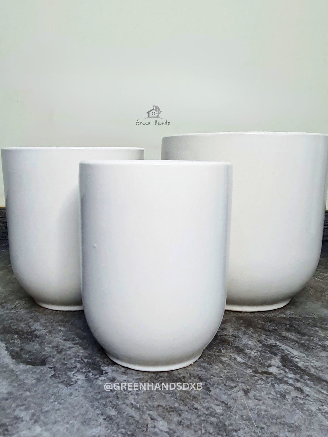 Kids and Pets Friendly Large Cast Iron Plant in Premium Ceramic Pot Green Hands