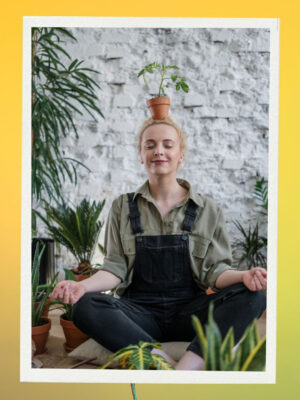 13_ebde2175-39eb-47f1-82fa-c7aae67d7016 Houseplant Maintenance Service