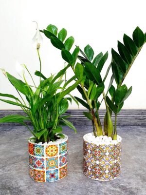19_c0372213-56be-434d-8be7-722663c788f3 Desktop Peace Lily & ZZ Bundle Planted in Designer Turkish Ceramic Pot