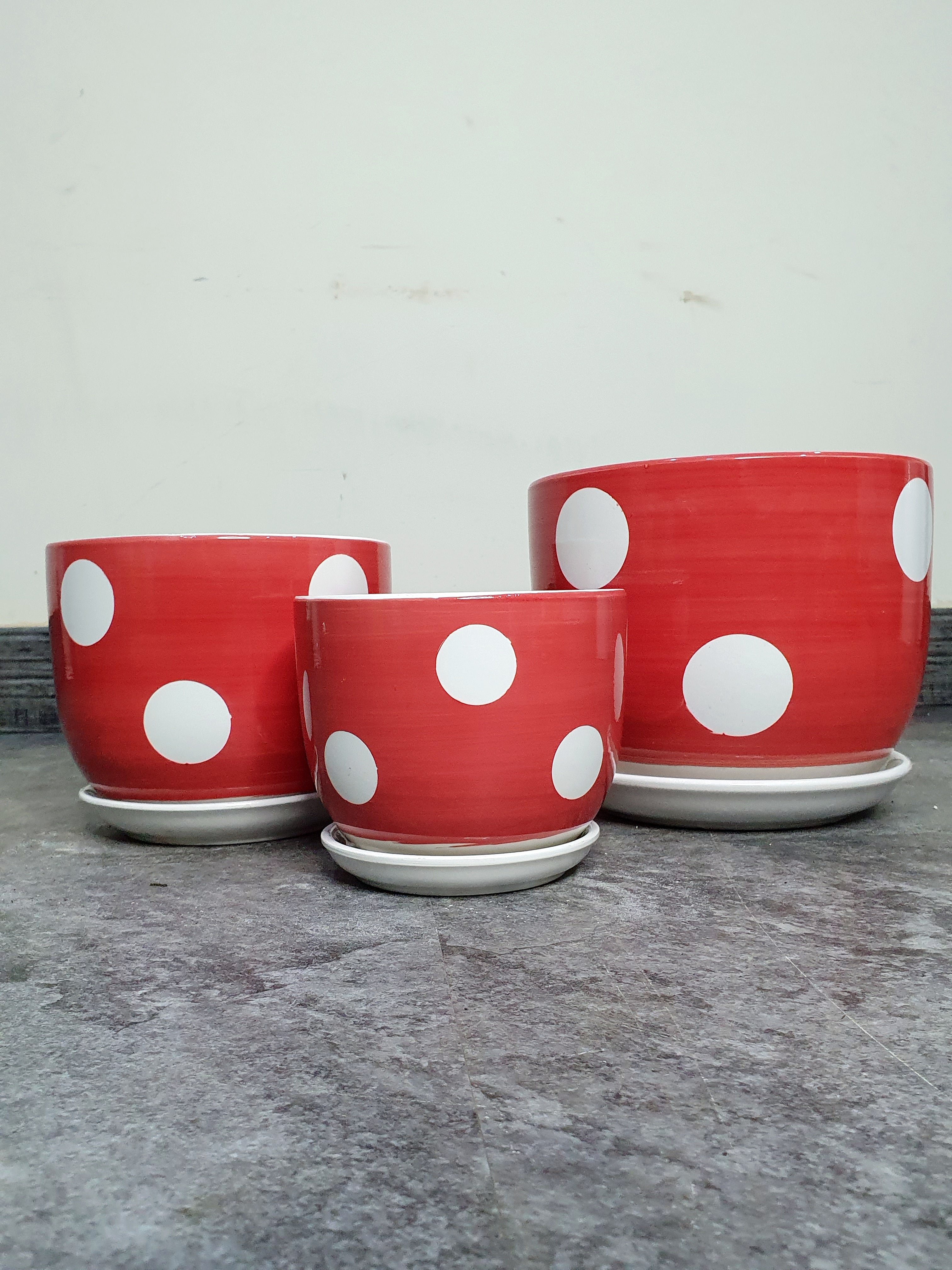 Potted Snake & ZZ | Two Plants Bundle