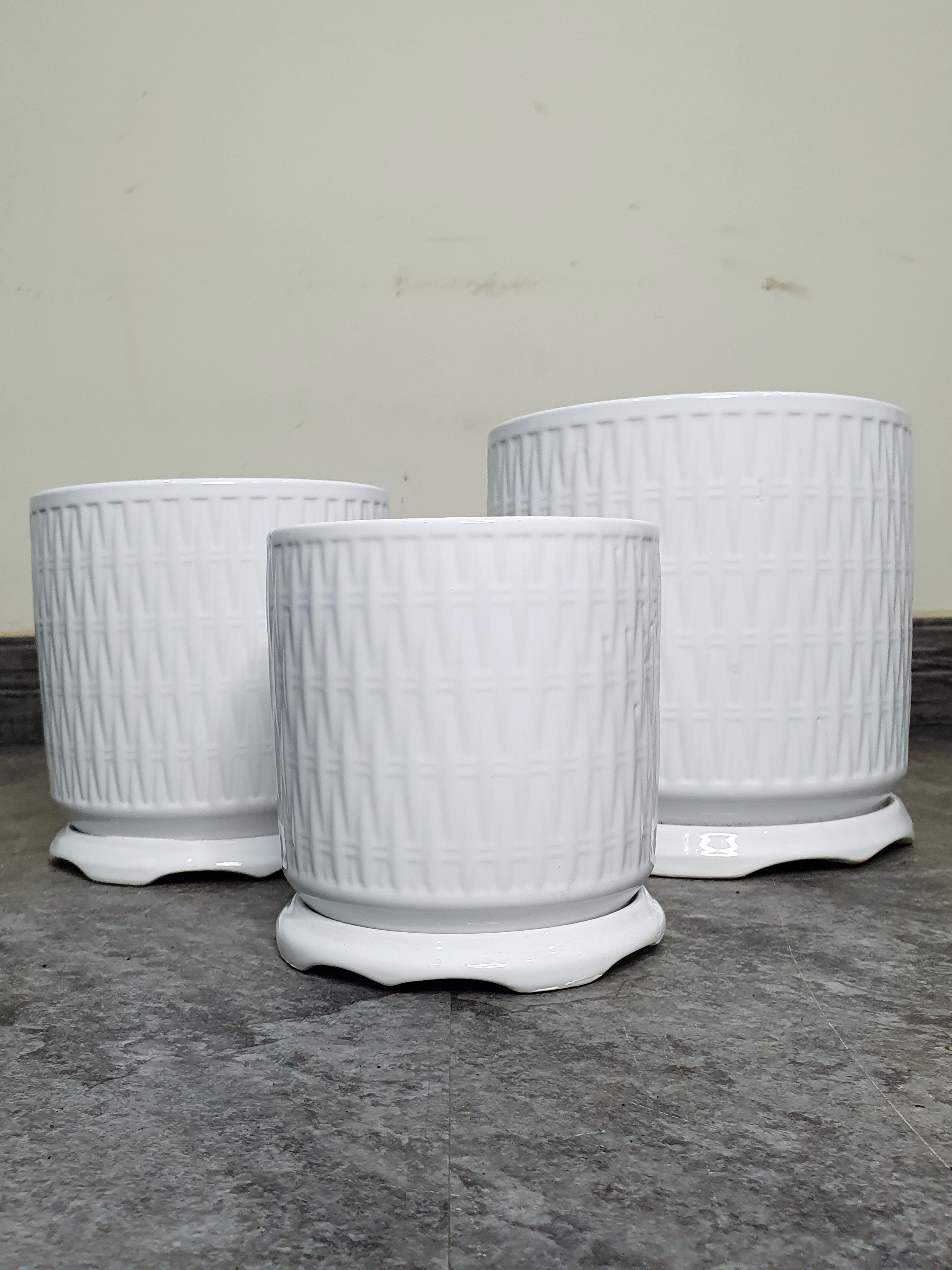 Peace Lily and Bonsai Plants in White Ceramic Pots Bundle.