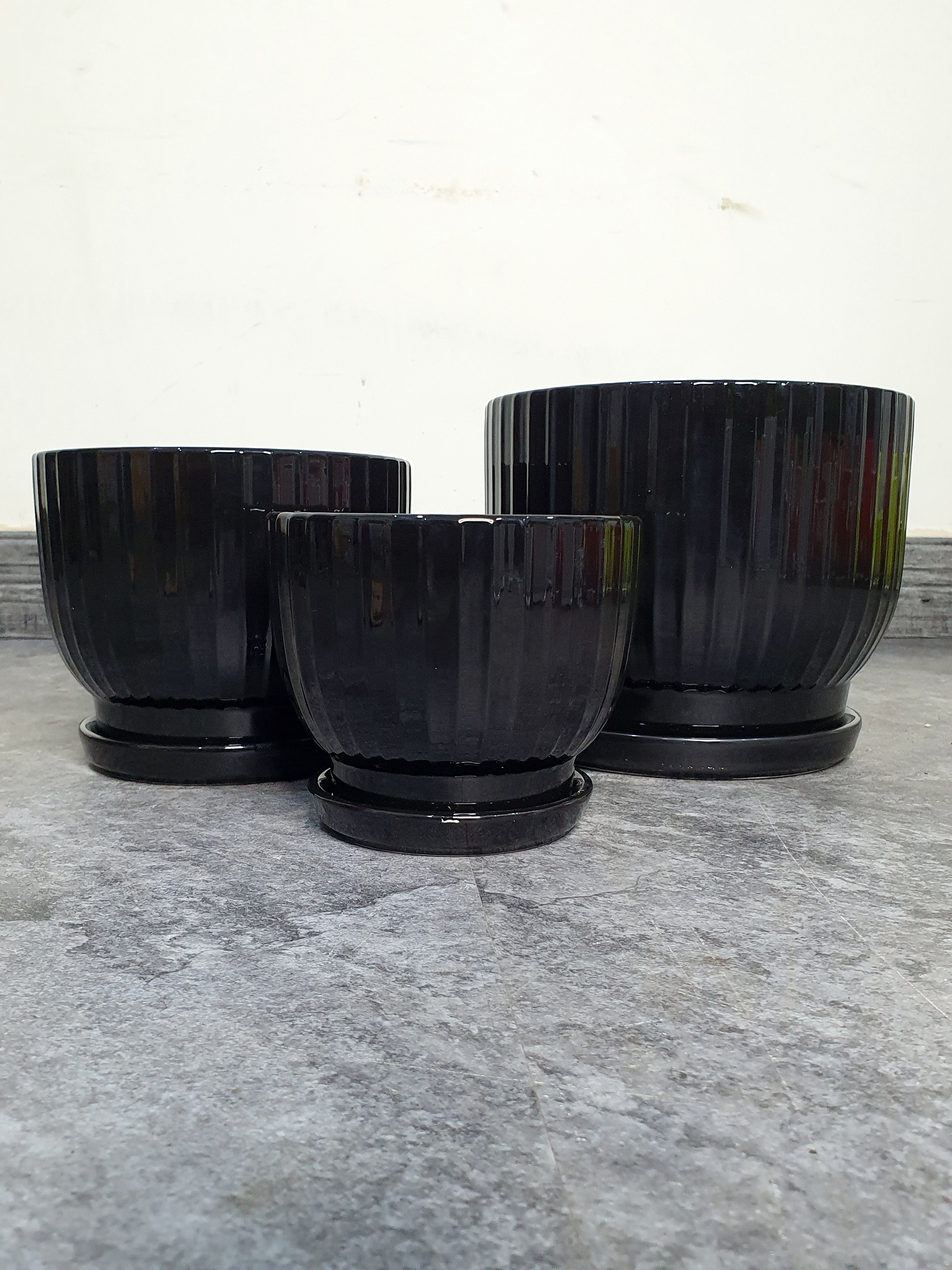 Potted Snake & ZZ | Two Plants Bundle