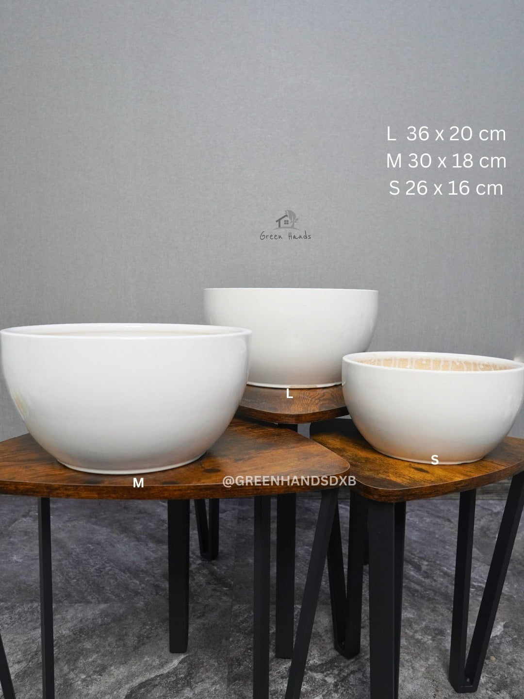 Premium Indoor Plant Bundle: Peace Lily, S Bonsai & Snake Plant in Ceramic Pots Green Hands