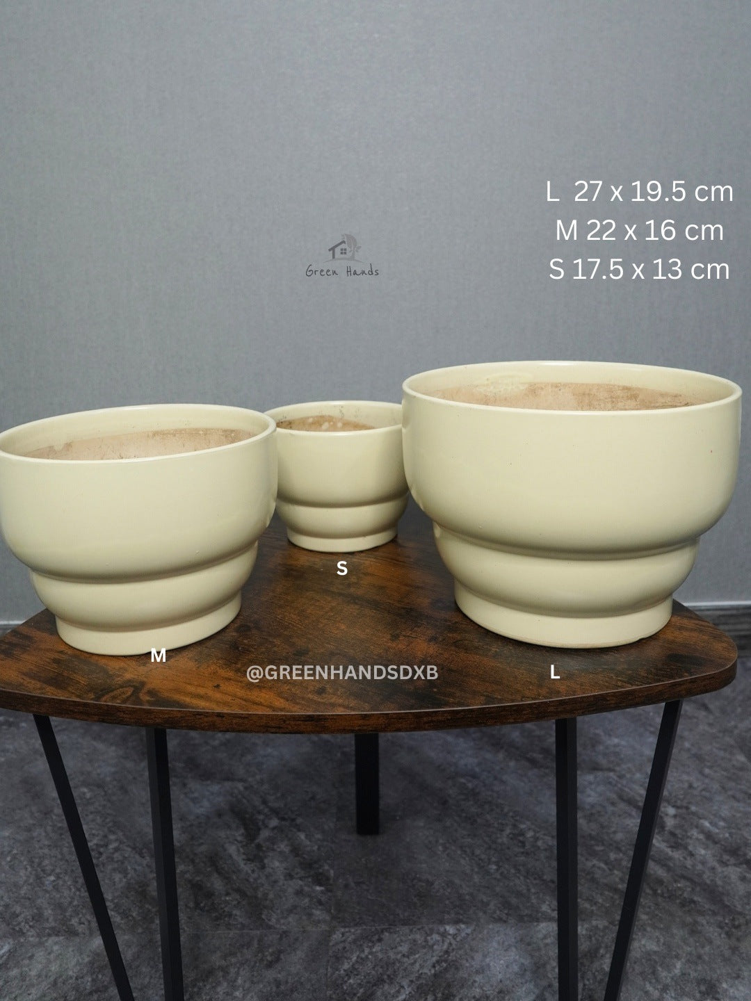 Premium Indoor Plant Bundle: Peace Lily, S Bonsai & Snake Plant in Ceramic Pots Green Hands