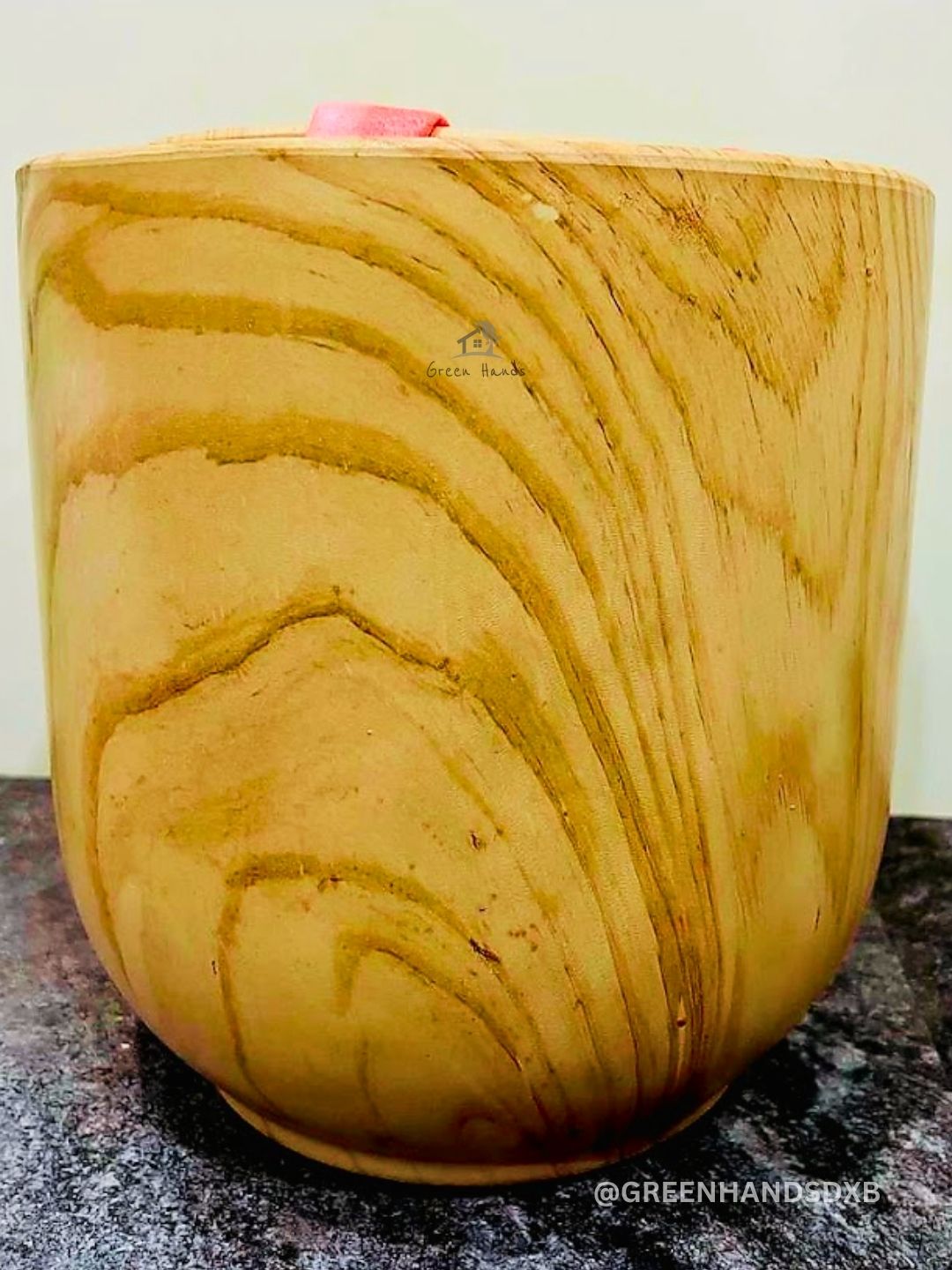 Snake Plant: The Ultimate Low-Maintenance, Air-Purifying Indoor Plant Planted in Glossy White Pot