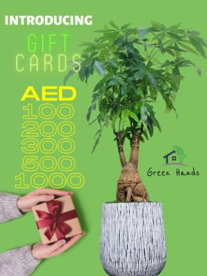 2_ccbc7169-abdf-4584-b18d-213027705b43 Green Hands Gift Card