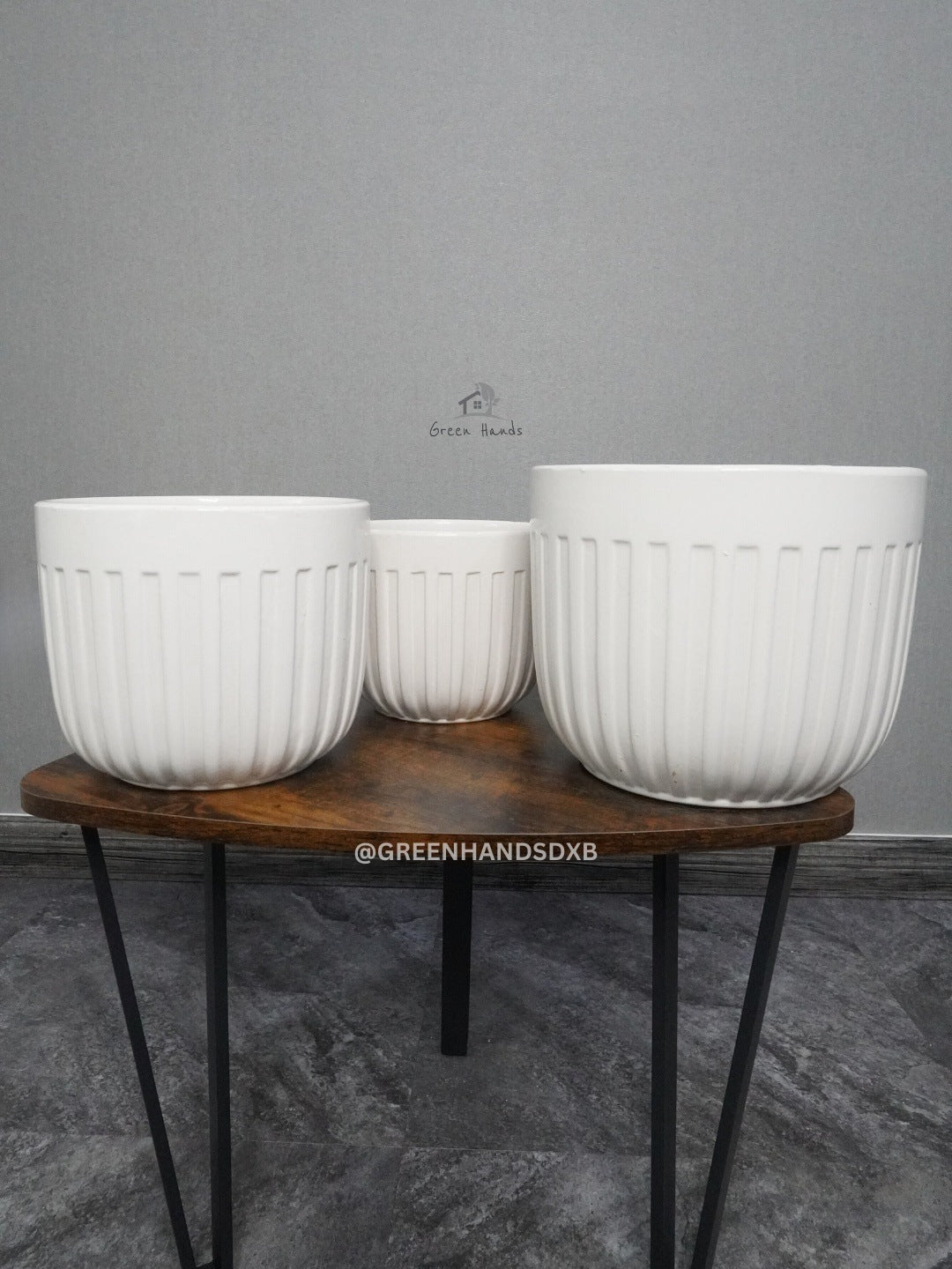 Potted Desktop Dracaena Angustifolia - Your Perfect Office Companion Green Hands