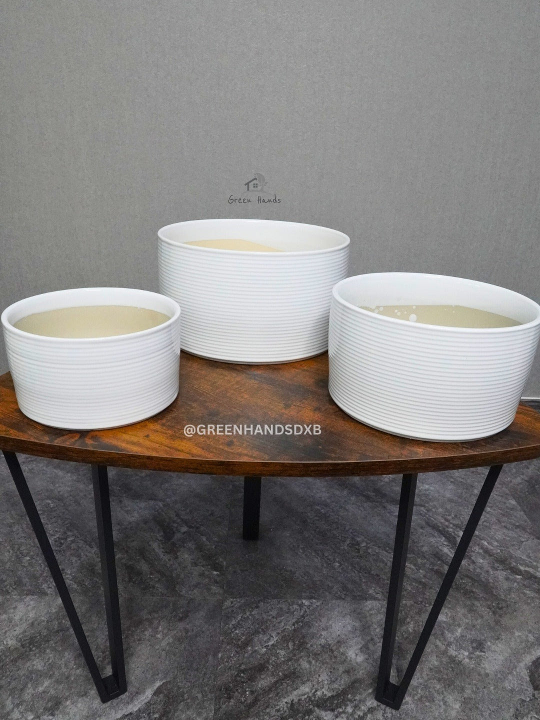 Premium Indoor Plant Bundle: Peace Lily, S Bonsai & Snake Plant in Ceramic Pots Green Hands