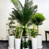 3_1_127f0d91-6966-4074-b345-776682bdea64 Corporate Office Bundle of 9 Potted Plants | Mixed Light Planted in White Ceramic Pot