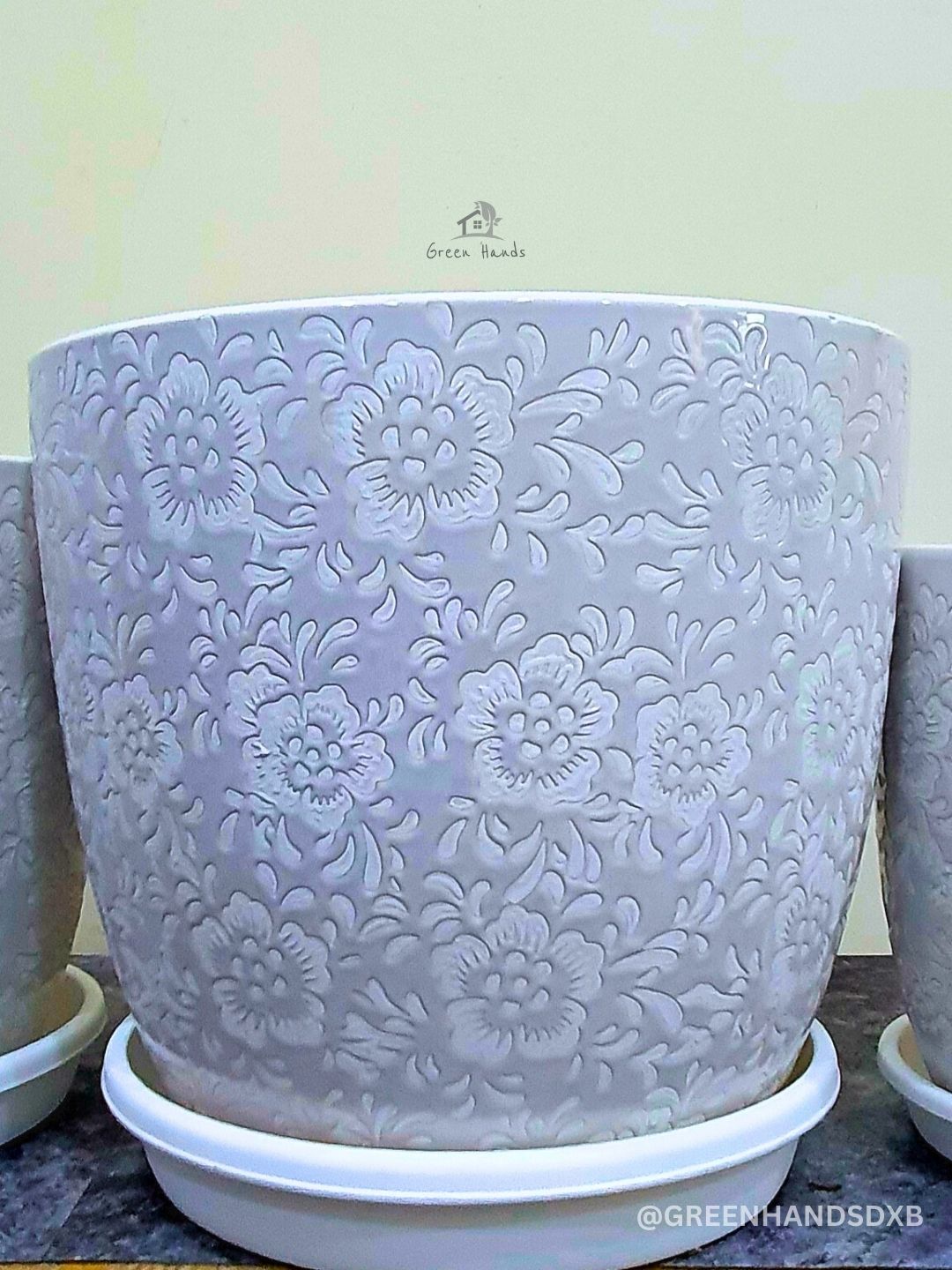 Large Areca Palm, Snake & Ficus Panda Plants: Potted Trio in Matching Pots Planted in Blossom White Pot