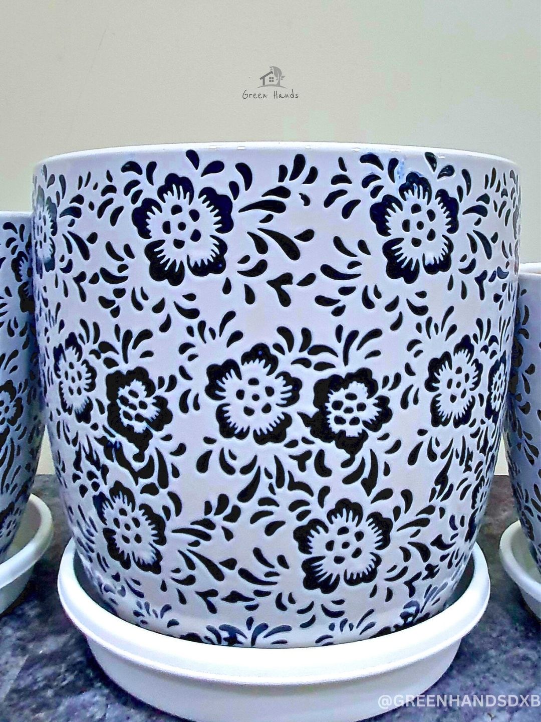 Large Areca Palm, Snake & Ficus Panda Plants: Potted Trio in Matching Pots Planted in Deep Blue Floral Pot