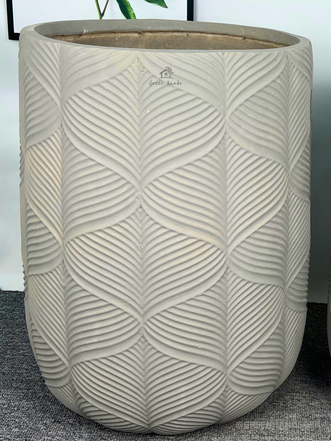 Potted Lady Palm or Rhapis Plant - Image 9