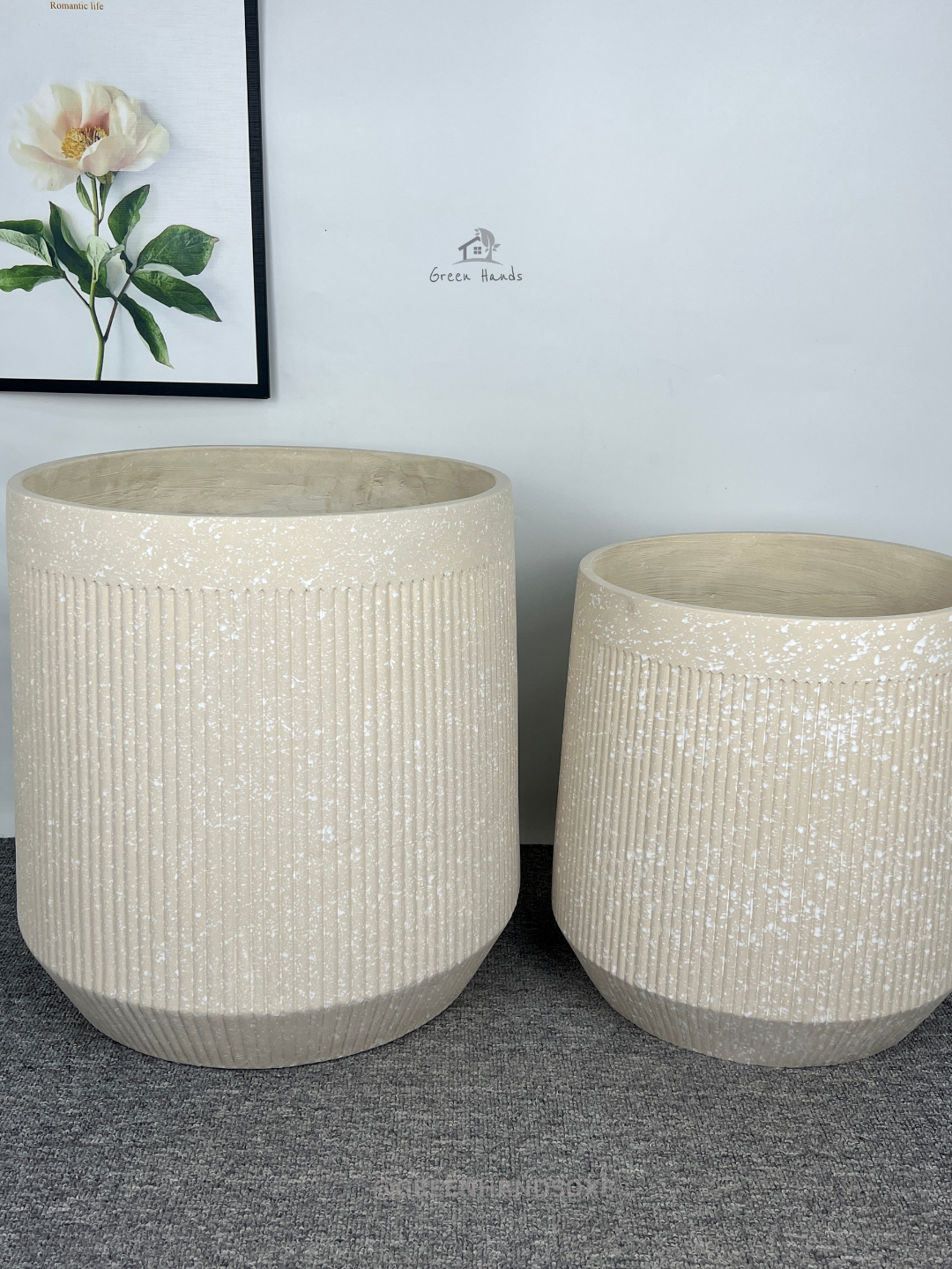 Potted Lady Palm or Rhapis Plant - Image 6