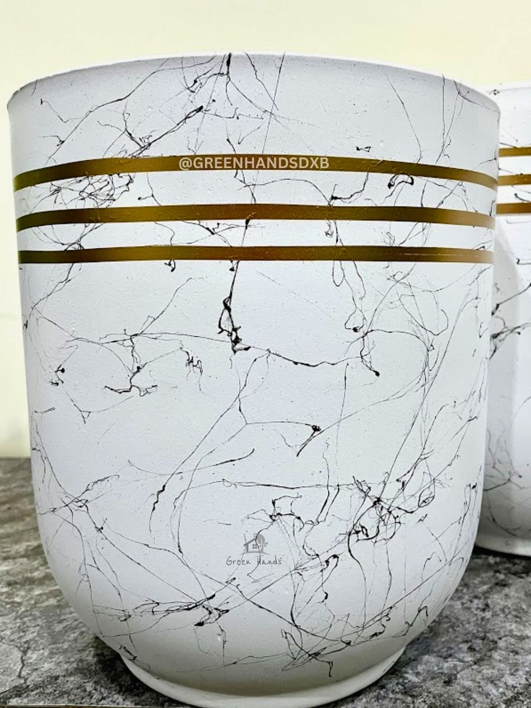 Snake Plant: The Ultimate Low-Maintenance, Air-Purifying Indoor Plant Planted in Marble Gold Pot