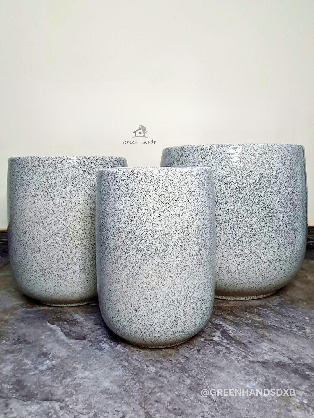 Large Areca Palm, Snake & Ficus Panda Plants: Potted Trio in Matching Pots