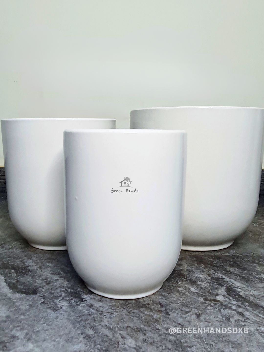 Large Areca Palm, Snake & Ficus Panda Plants: Potted Trio in Matching Pots Planted in Glossy White Pot