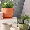 Adorable Terracotta Face Planter: The Perfect Sustainable Decorative Touch for UAE Homes
