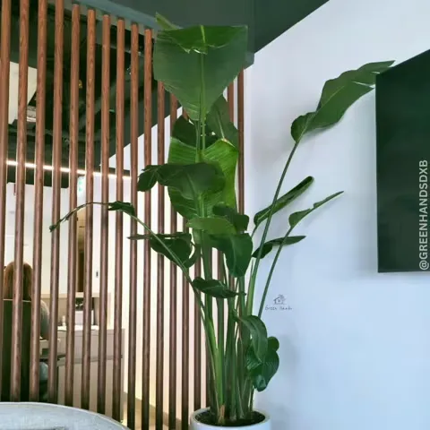 Hotel 01