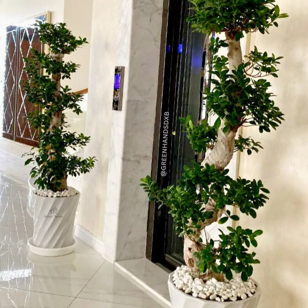 Hotel 07 (1)