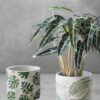 Monstera-Deliciosa-Pattern-Pot Monstera-Deliciosa-Pattern-Pot