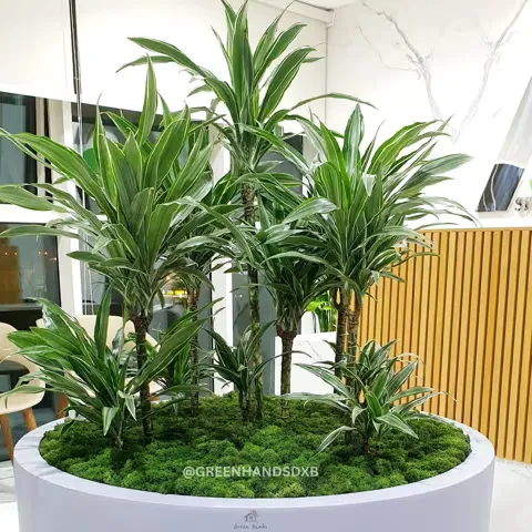 Office 01