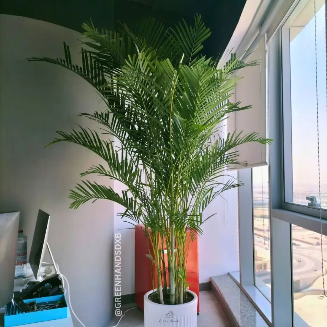 Office 03